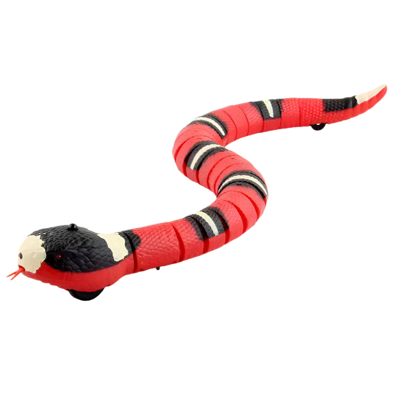 Interactive Snake Cat Toy