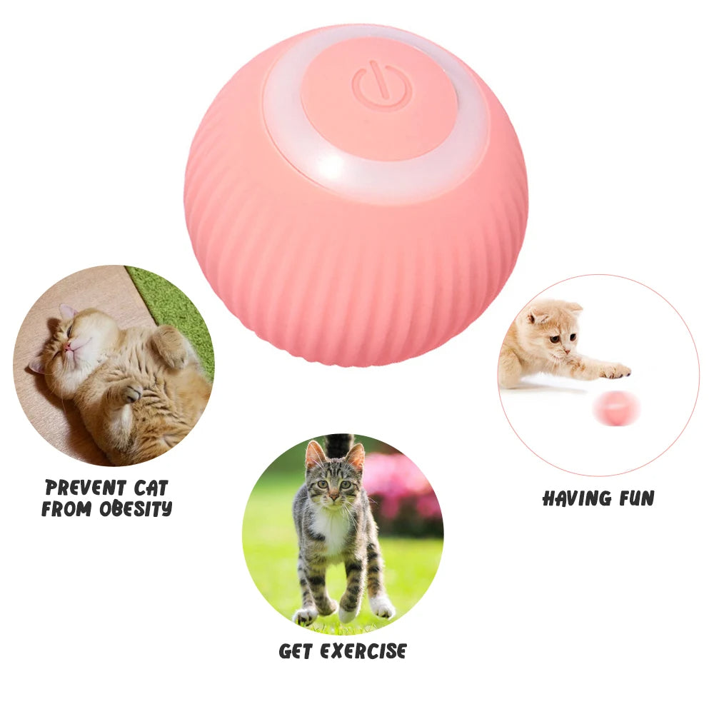 Smart Rolling Ball Cat Toy