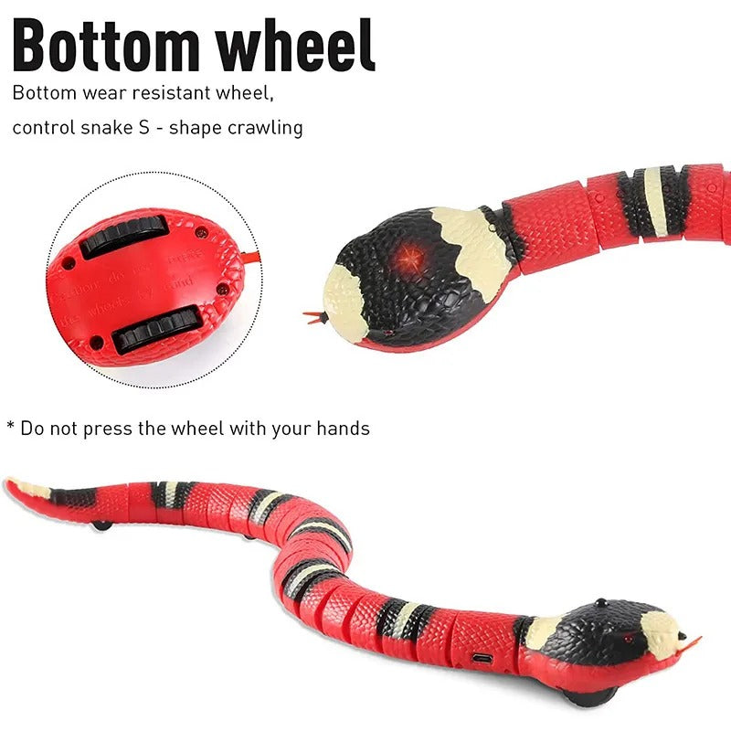 Interactive Snake Cat Toy
