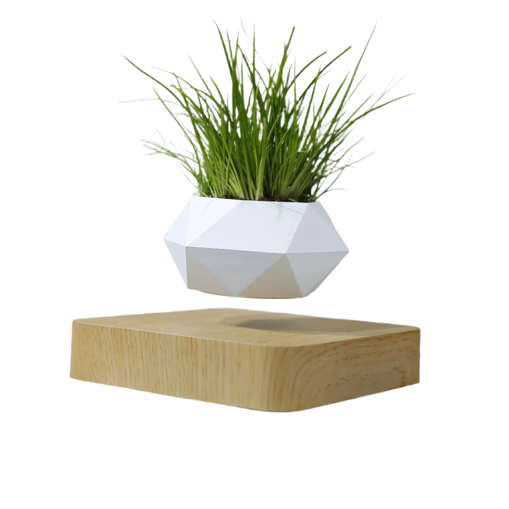 Levitating Flower Pot