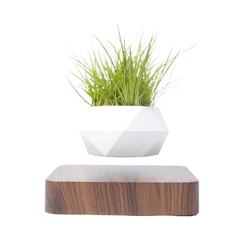 Levitating Flower Pot