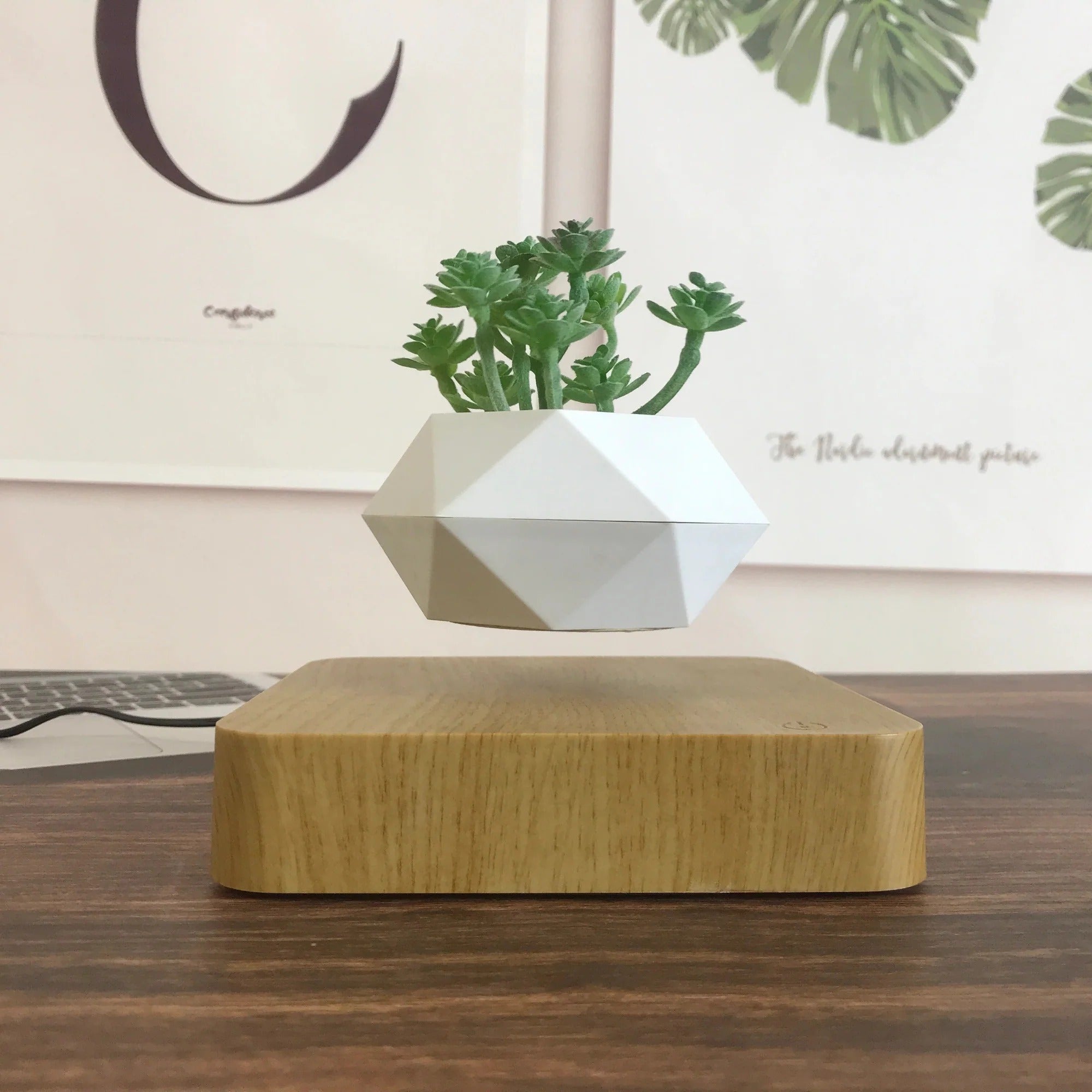 Levitating Flower Pot